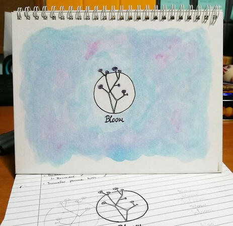 Bloom